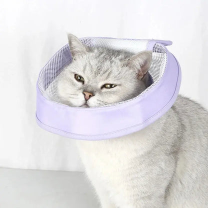 Collerette anti-rayures chat