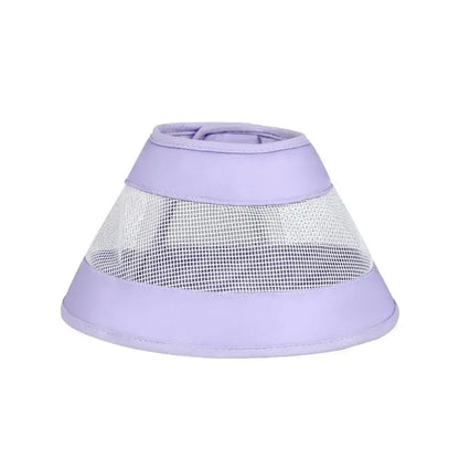 Collerette anti-rayures chat