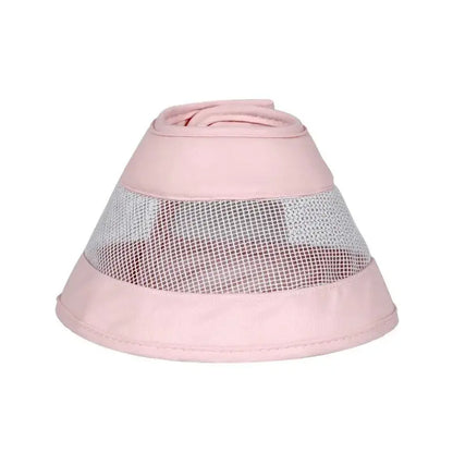 Collerette anti-rayures chat