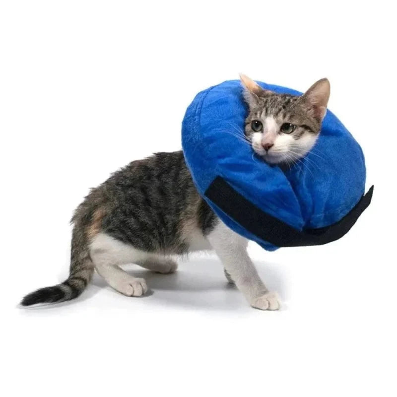 Collerette gonflable pour chat - Confort optimal | AirCone