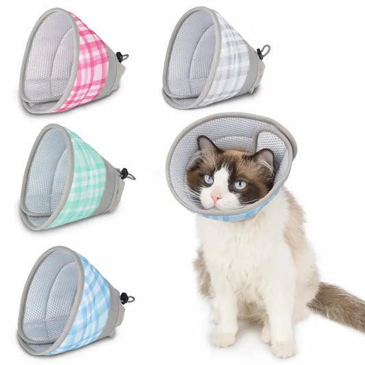Collerette post-opératoire chat