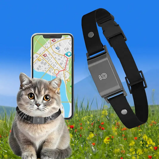 Collier GPS chat sans abonnement