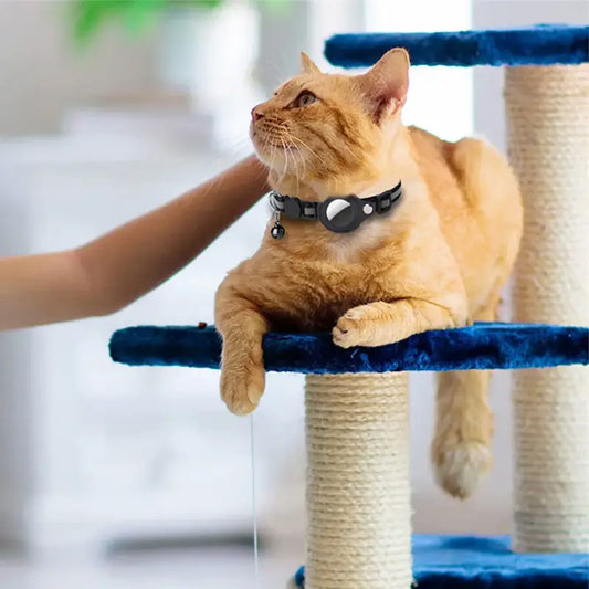 Collier chat AirTag
