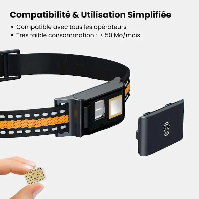 Collier GPS chat sans abonnement