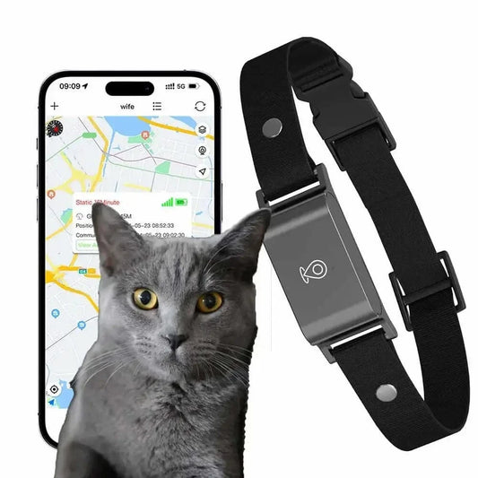 Collier GPS chat sans abonnement - Suivi précis Griffe d'Amour