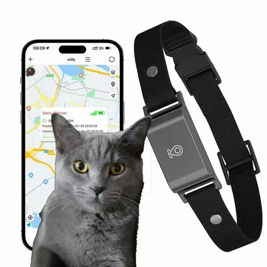 Collier GPS chat sans abonnement