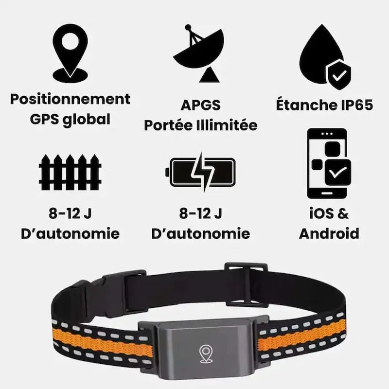 Collier GPS chat sans abonnement
