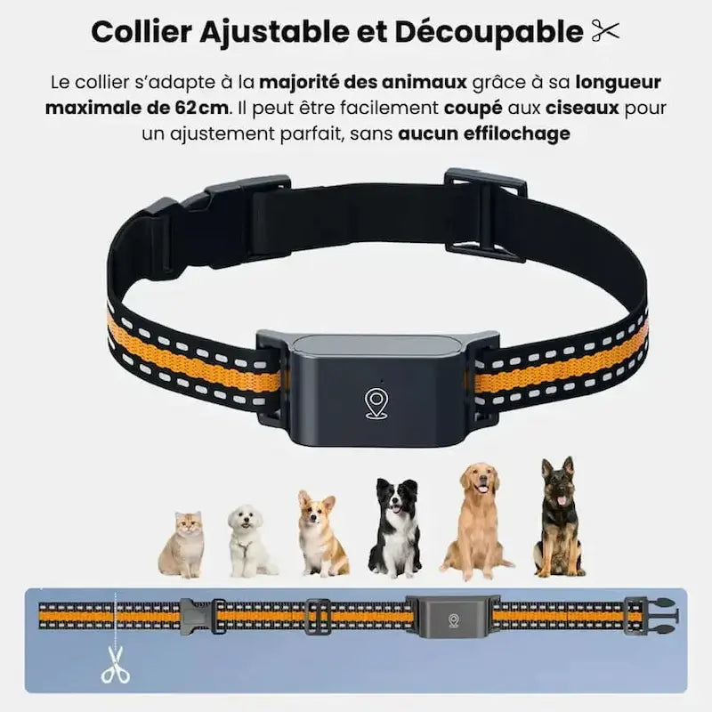 Collier GPS chat sans abonnement