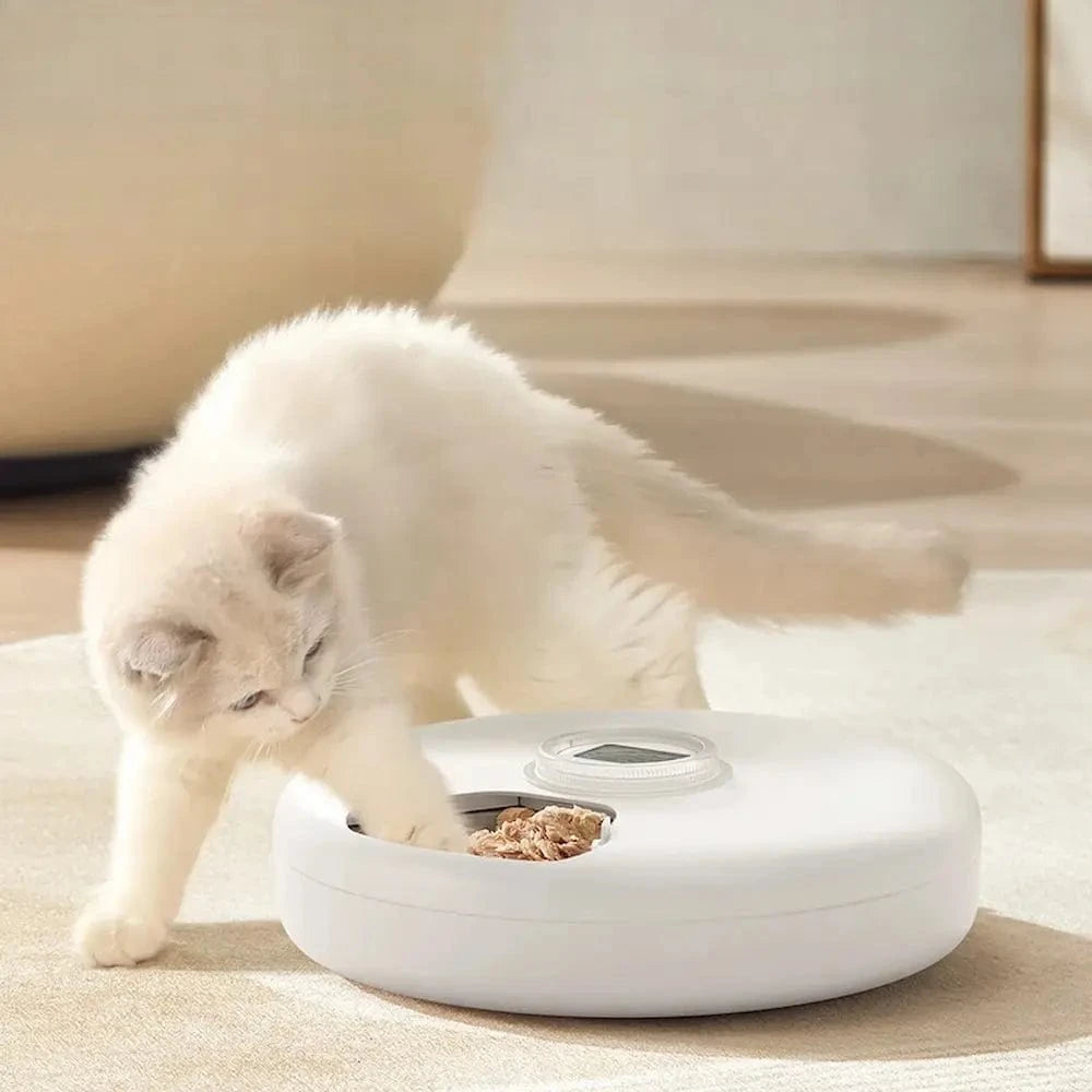 Distributeur automatique croquette 6 repas