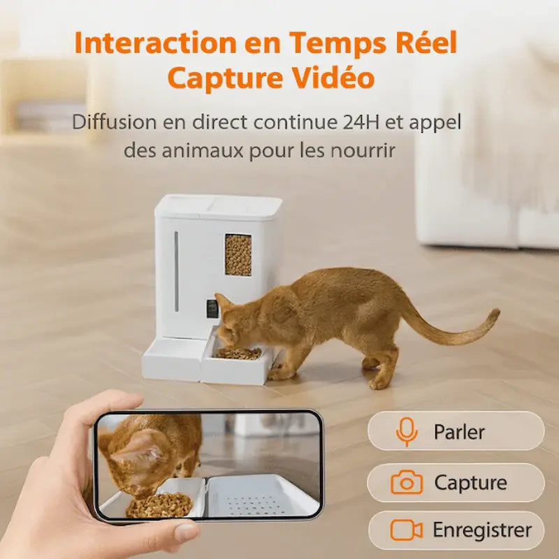 Distributeur automatique eau et croquettes chat