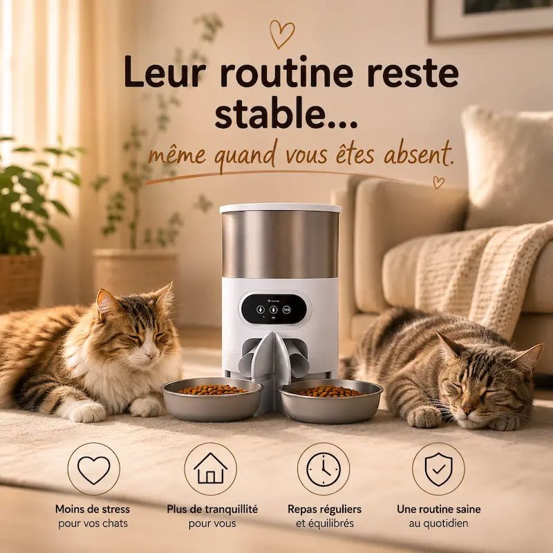 Distributeur croquettes 2 chats – Portions équilibrées | DuoFeed