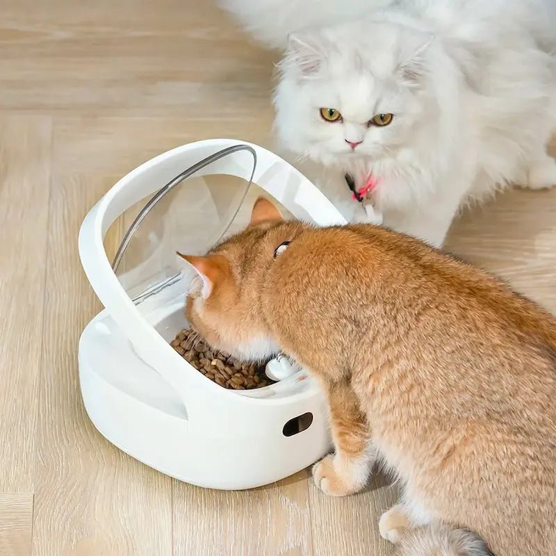 Distributeur croquettes sur mesure multi-animaux | SmartFeed