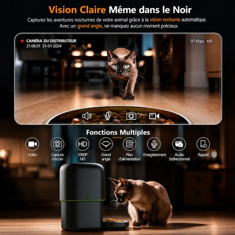 Distributeur de croquettes chat caméra intelligente