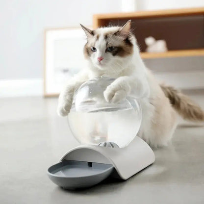 Distributeur eau chat 2,8L - Zéro filtre, zéro contrainte Griffe d'Amour