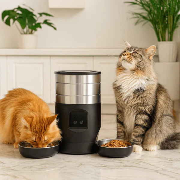 Distributeur intelligent croquettes double chat
