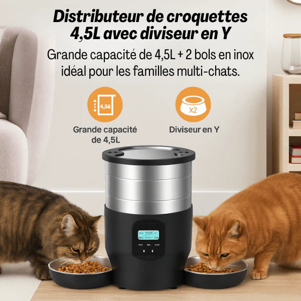 Distributeur intelligent croquettes double chat