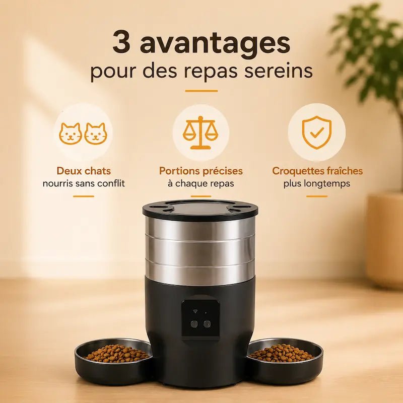 Distributeur intelligent croquettes double chat - Repas calmes | CatFlow