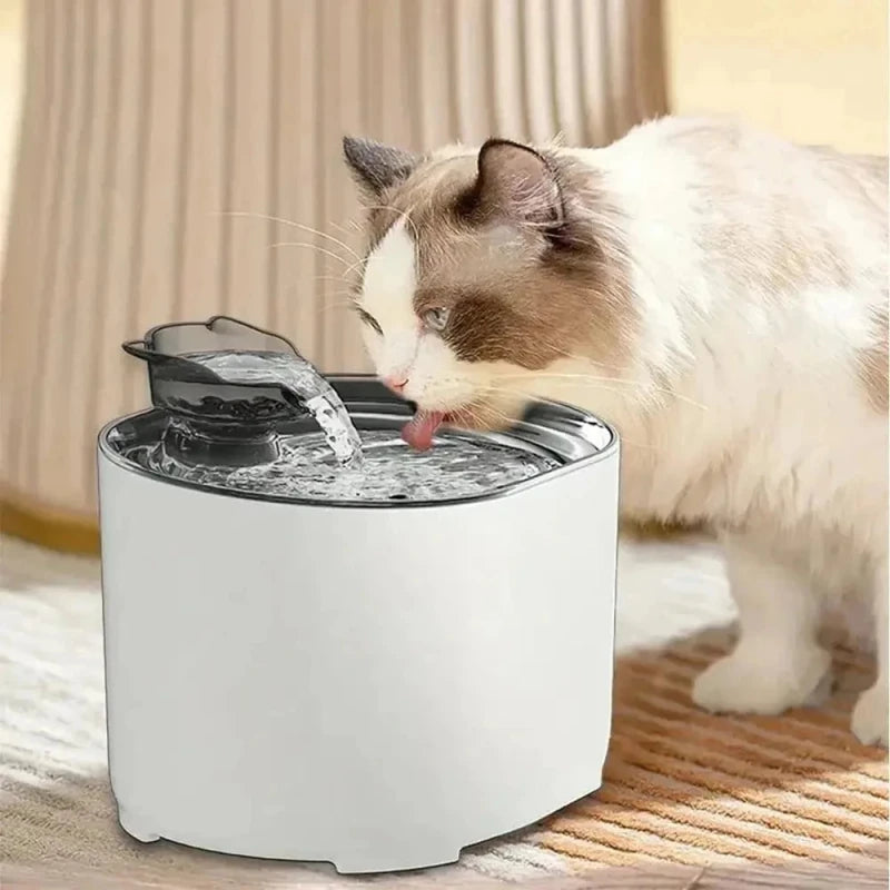 Chat ragdoll qui boit à la fontaine à eau chat 2L UrbanFlow blanche