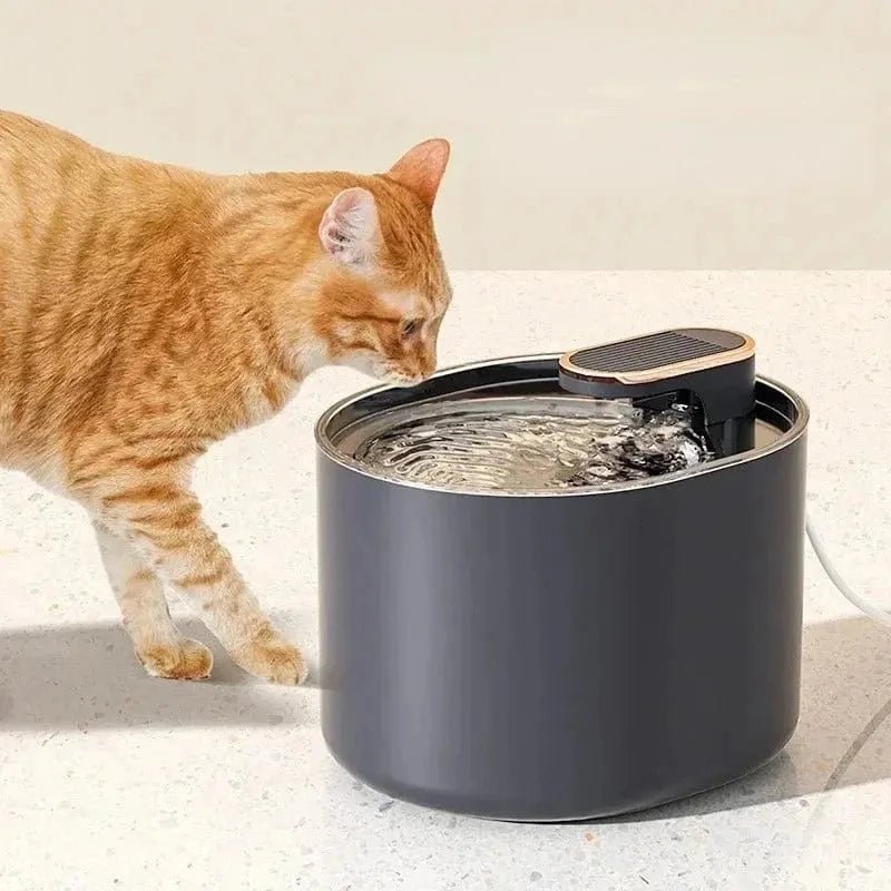 Chat roux qui boit à la fontaine à eau chat 3L MidFlow grise