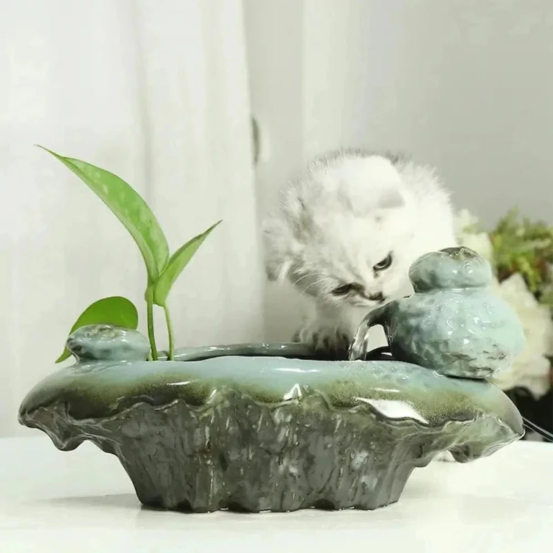 Chaton blanc près de la fontaine à eau chat grenouille FrogFlow en céramique avec plante