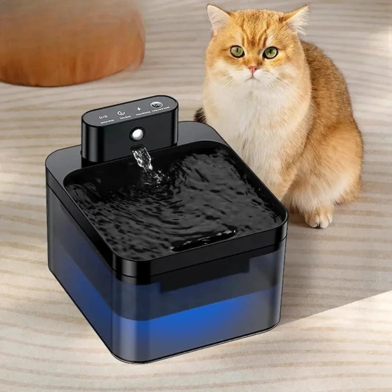 Fontaine à eau chat sans fil FreeFlow noire et bleue avec chat roux