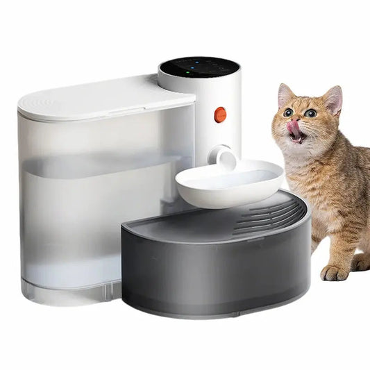 Fontaine à eau chat sans filtre - 3L & autonomie sans recharge Griffe d'Amour