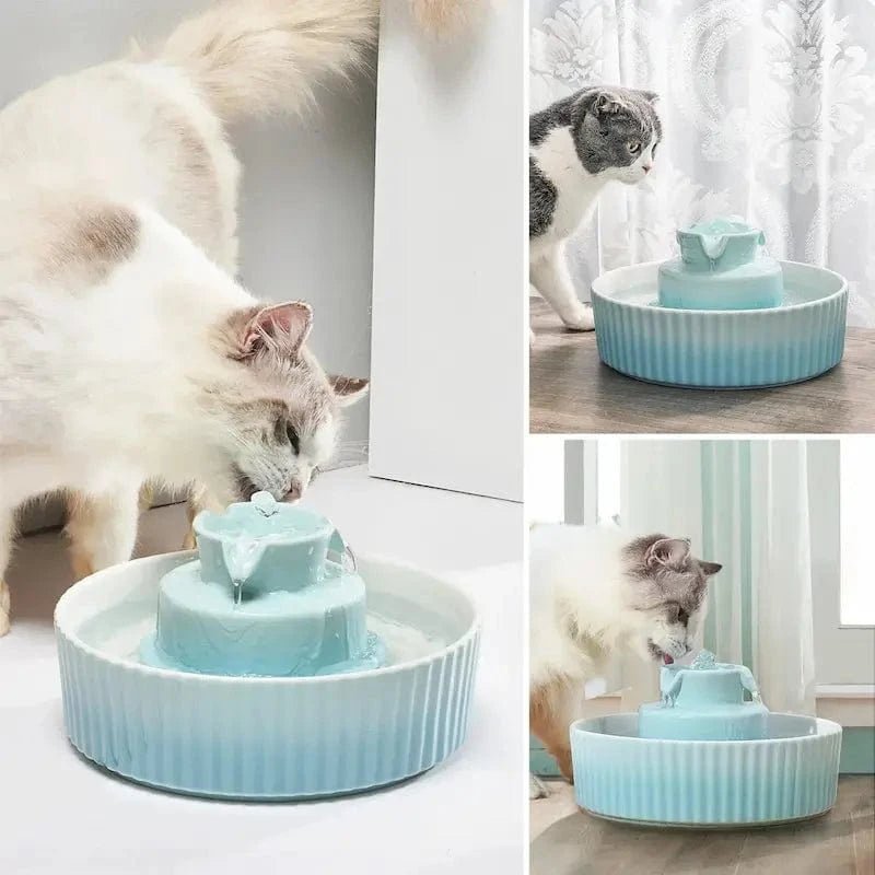 Chats qui boivent à la fontaine à eau filtrante céramique CeramiFilter bleu clair