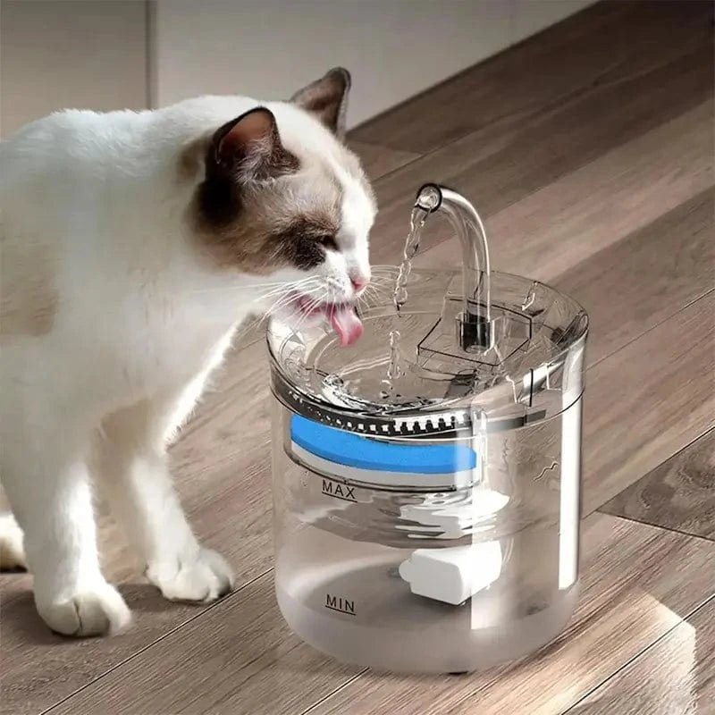 Chat qui boit à la fontaine chat 2L SensiFlow transparente avec capteur