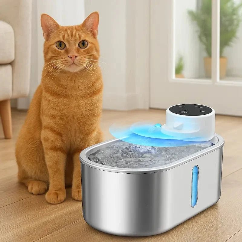 Fontaine chat sans fil à pile PurrWave en inox avec capteur et chat roux