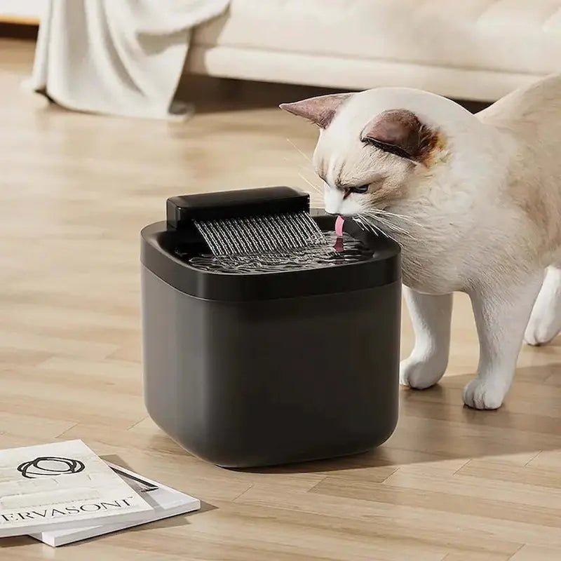 Chat qui boit à la fontaine eau USB 3L FelicityFlow noire
