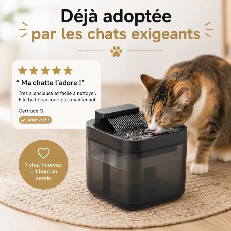 Fontaine eau USB 3L - Silencieuse & stable | FelicityFlow