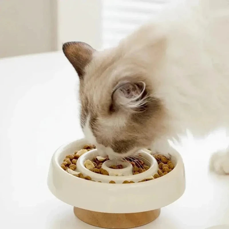 Gamelle anti-glouton chat céramique - Digestion lente | CeramSlow