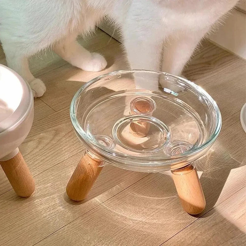 Gamelle en verre pour chat - Stable et facile à nettoyer