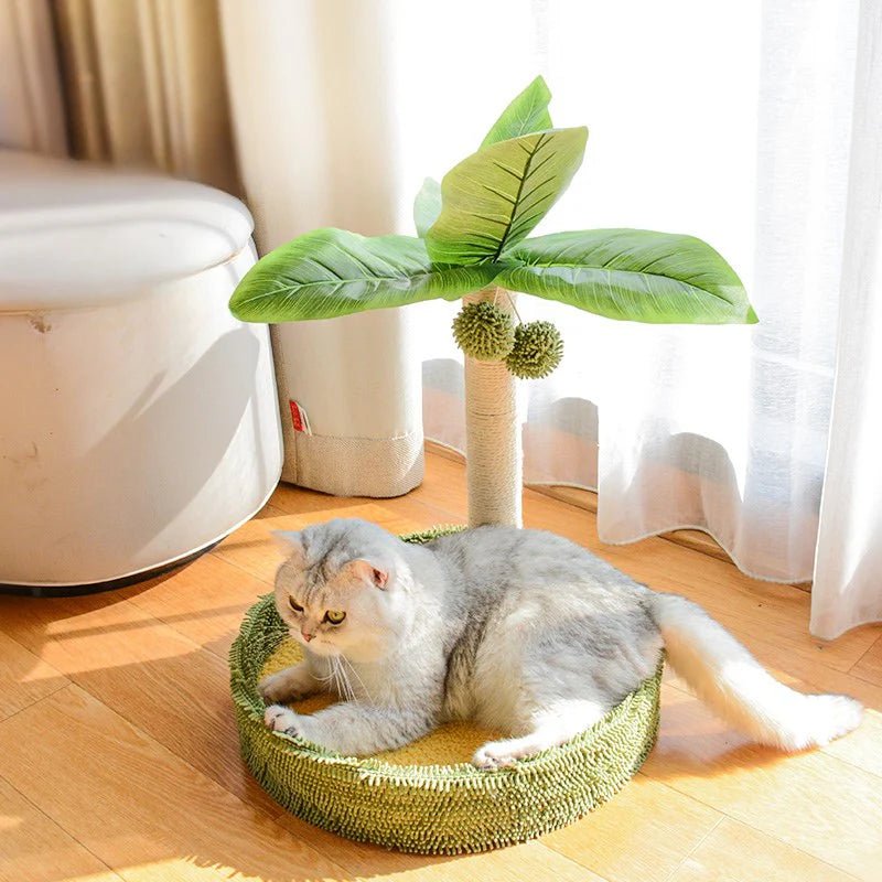 Griffoir chat arbre cocotier - Protège canapé | MiaouHome