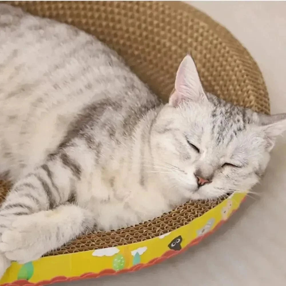 Griffoir pour chat au design ovale - Protège votre canapé Griffe d'Amour
