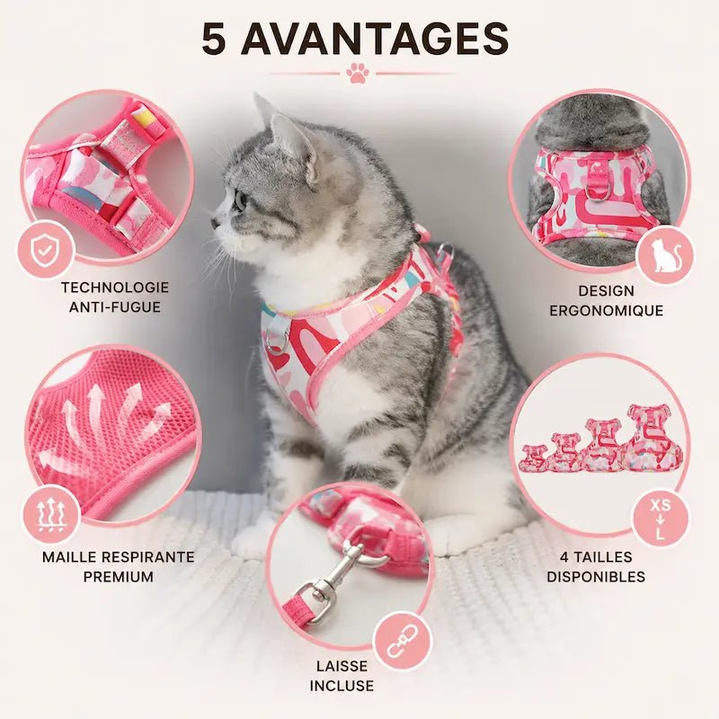 Harnais chat anti-fuite - Sécurité et confort | PawSafe