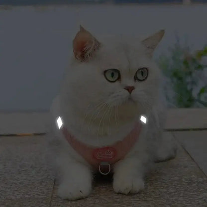 Harnais chat fourrure