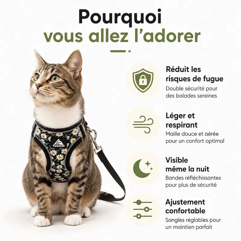 Harnais chat en polyester - Anti-fugue sécurisé | CatNova