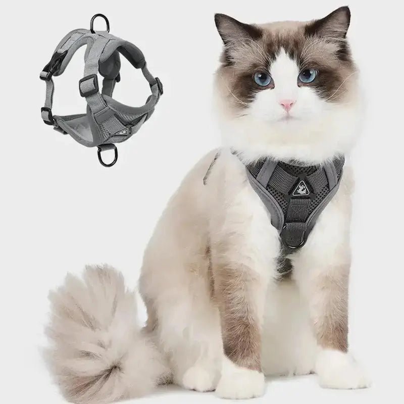 Harnais chat en Y - Anti-fugue sécurisé | CatSafe
