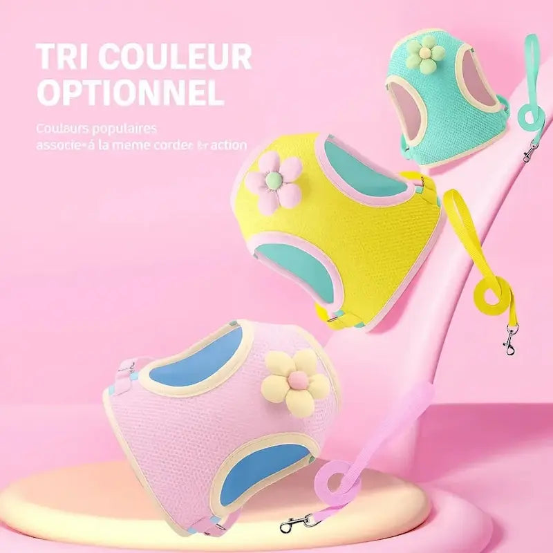 Harnais chat fleuri