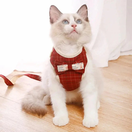 Harnais chat nœud papillon - Confort et sécurité garantis Griffe d'Amour