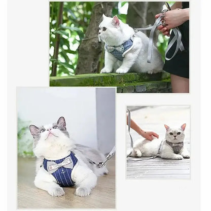 Harnais chat nœud papillon