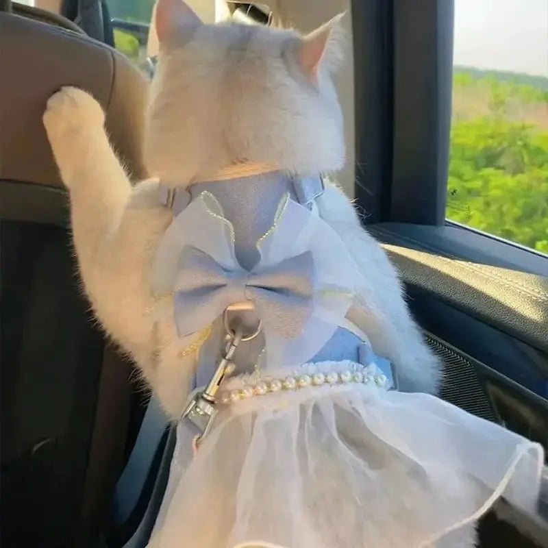 Harnais chat robe princesse - Confort royal | CatRoyale