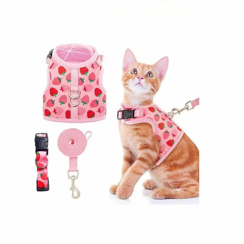 Harnais chat rose