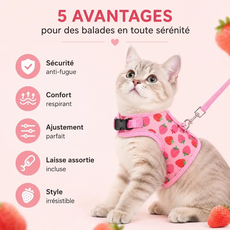 Harnais chat rose - Sécurité anti-fugue | PinkPaws