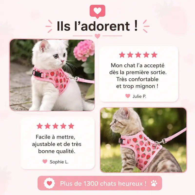 Harnais chat rose - Sécurité anti-fugue | PinkPaws