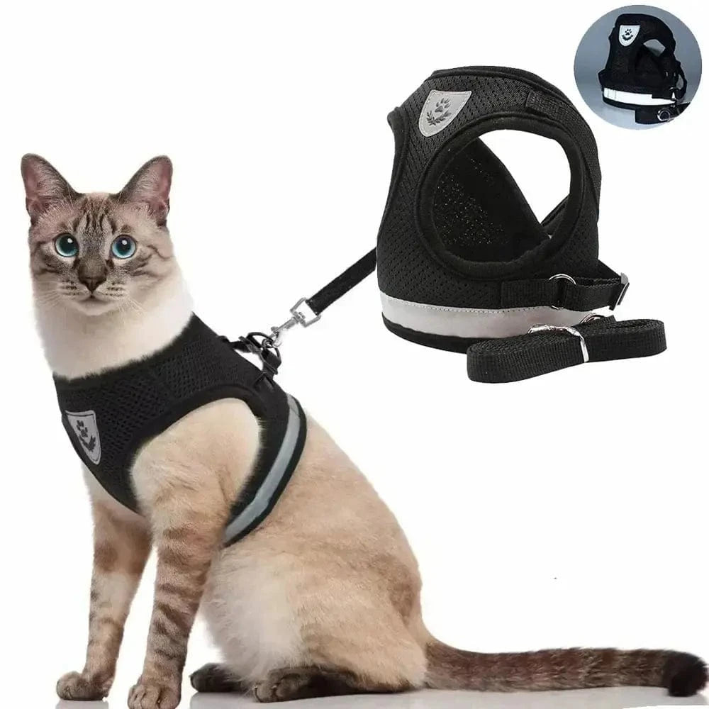 Harnais gilet en maille pour chat - Confort respirant Griffe d'Amour