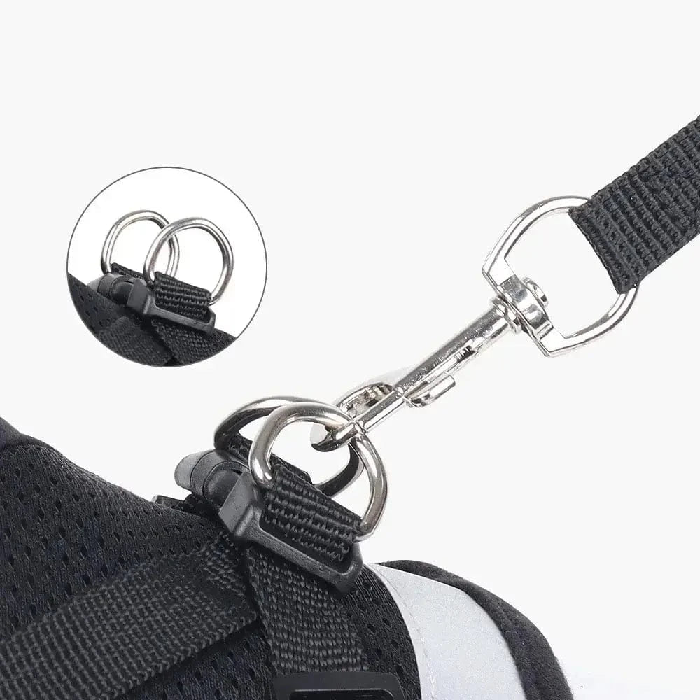 Harnais gilet en maille pour chat - Confort respirant Griffe d'Amour