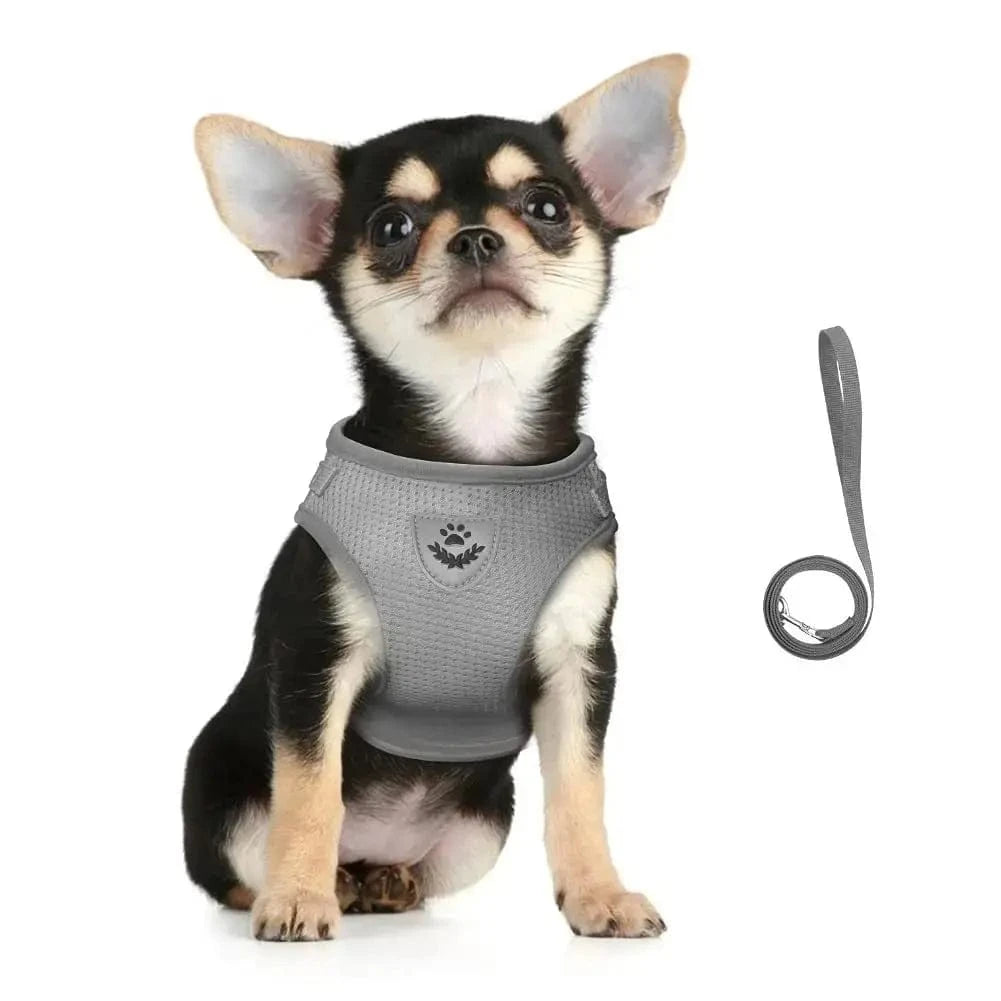 Harnais gilet en maille pour chat - Confort respirant Griffe d'Amour