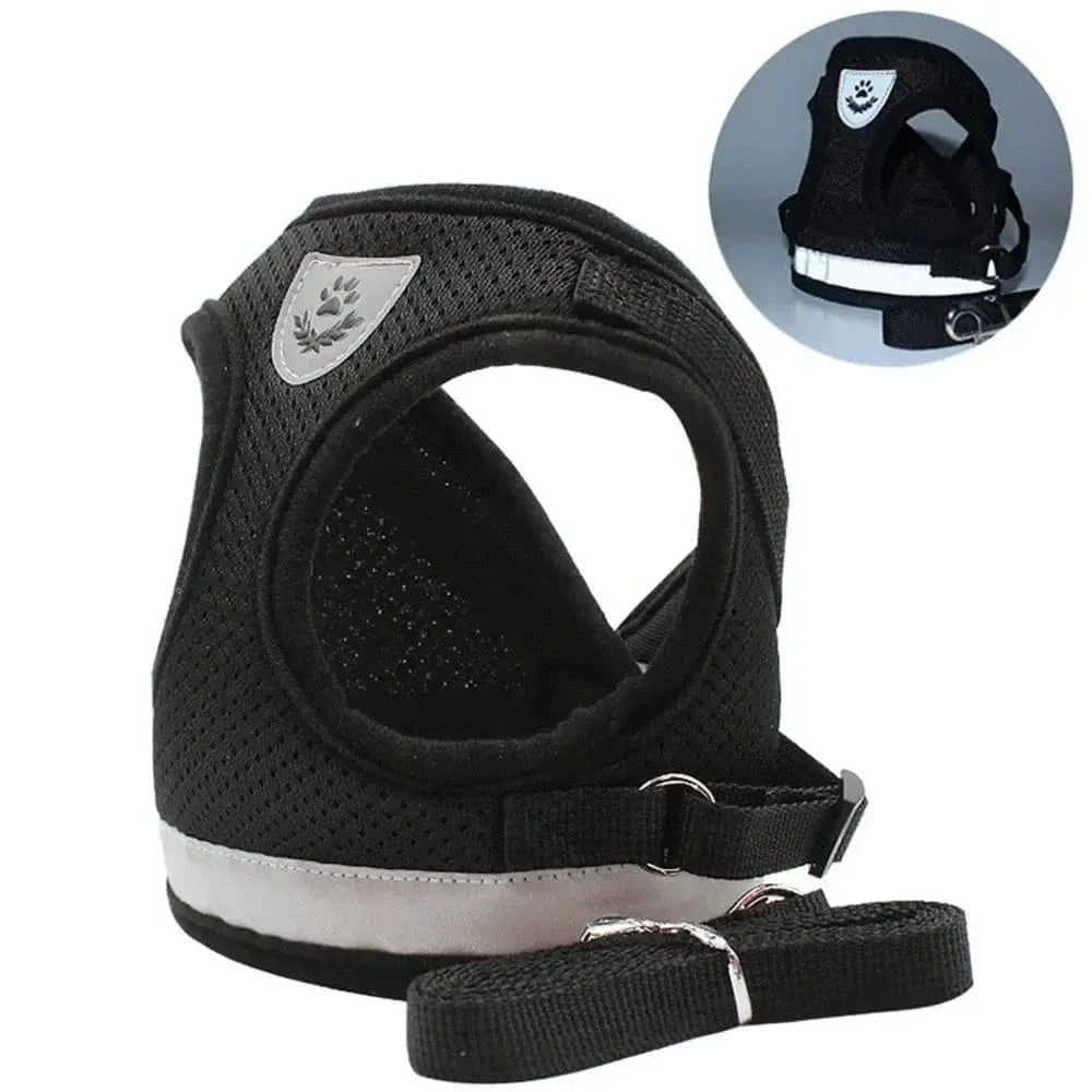 Harnais gilet en maille pour chat - Confort respirant Griffe d'Amour